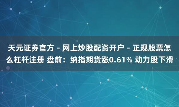 天元证券官方 - 网上炒股配资开户 - 正规股票怎么杠杆注册 盘前：纳指期货涨0.61% 动力股下滑