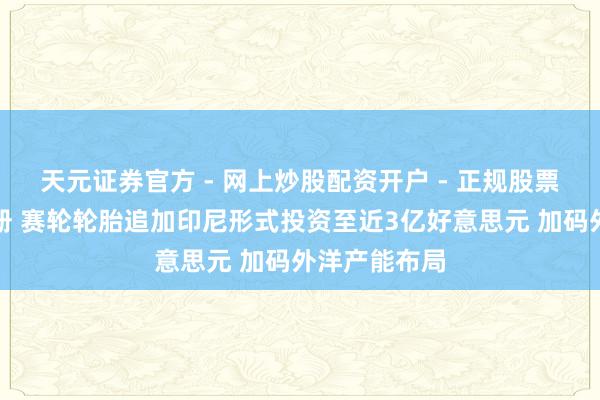 天元证券官方 - 网上炒股配资开户 - 正规股票怎么杠杆注册 赛轮轮胎追加印尼形式投资至近3亿好意思元 加码外洋产能布局